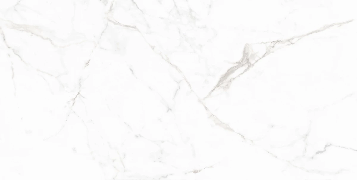 Керамический гранит MAIMOON CERAMICA 12053 Carving матовый 60х120