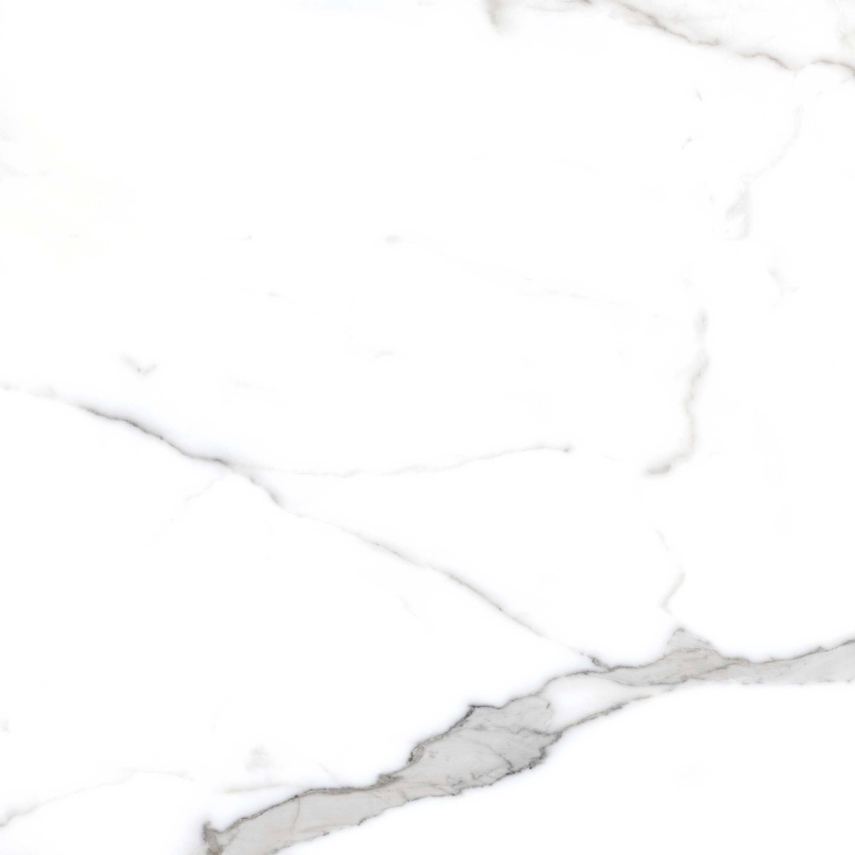 Керамический гранит Primavera Salvatore 60х60 PR107 полированный