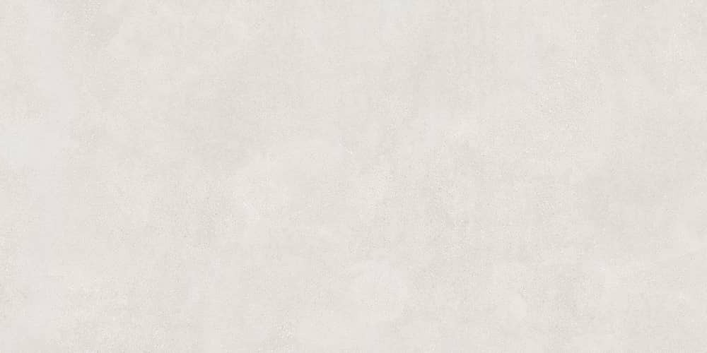 Керамический гранит Lasselsberger Ceramics Иней 6493-0137 60х120 светло-серый