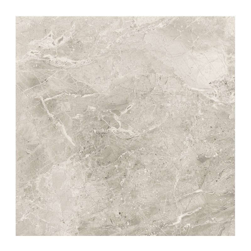 Керамический гранит Grasaro Moon серый матовый 60х60