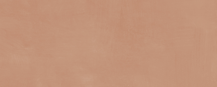 Керамическая плитка Kerama Marazzi 7254 Каннареджо оранжевый матовый 20х50