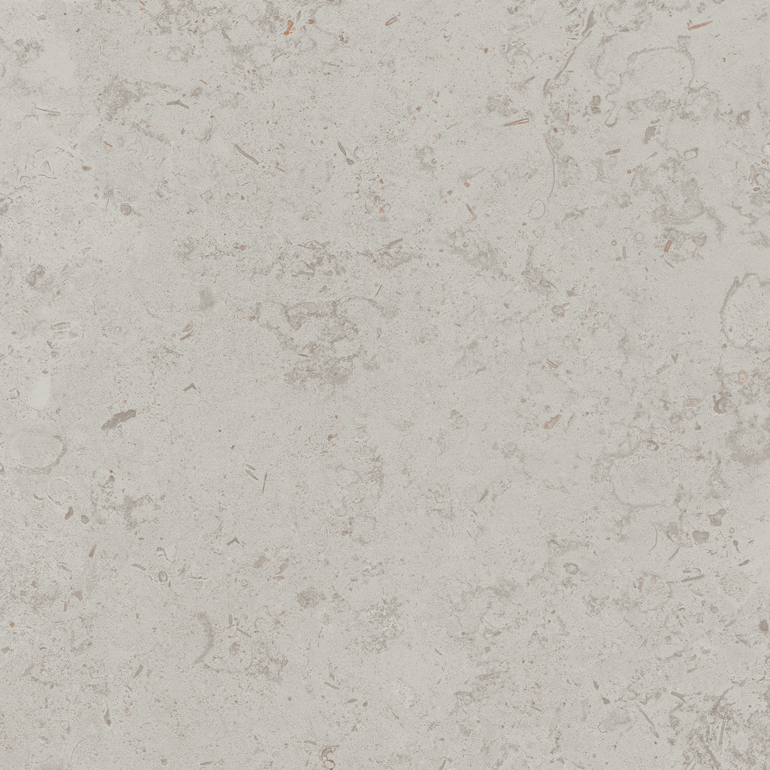 Керамический гранит Kerama Marazzi Про Лаймстоун DD641020R серый светлый натуральный обрезной 60х60 см