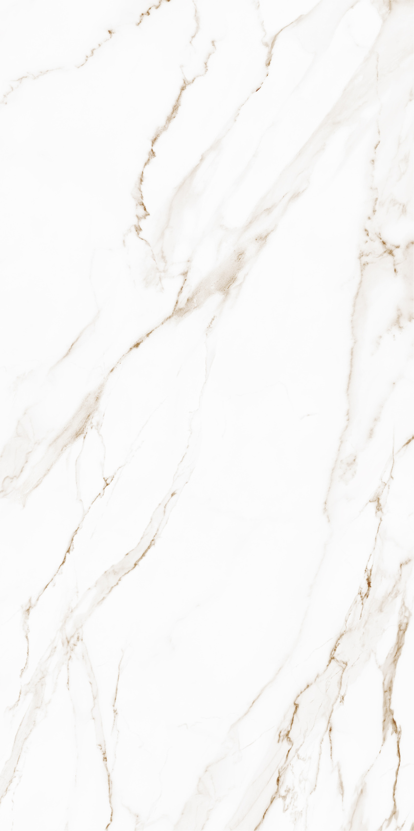 Керамический гранит Gracia Ceramica Golden white PG 01 матовый 600х1200