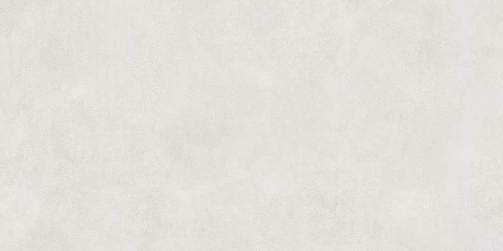 Керамический гранит Lasselsberger Ceramics Иней 6493-0137 60х120 светло-серый