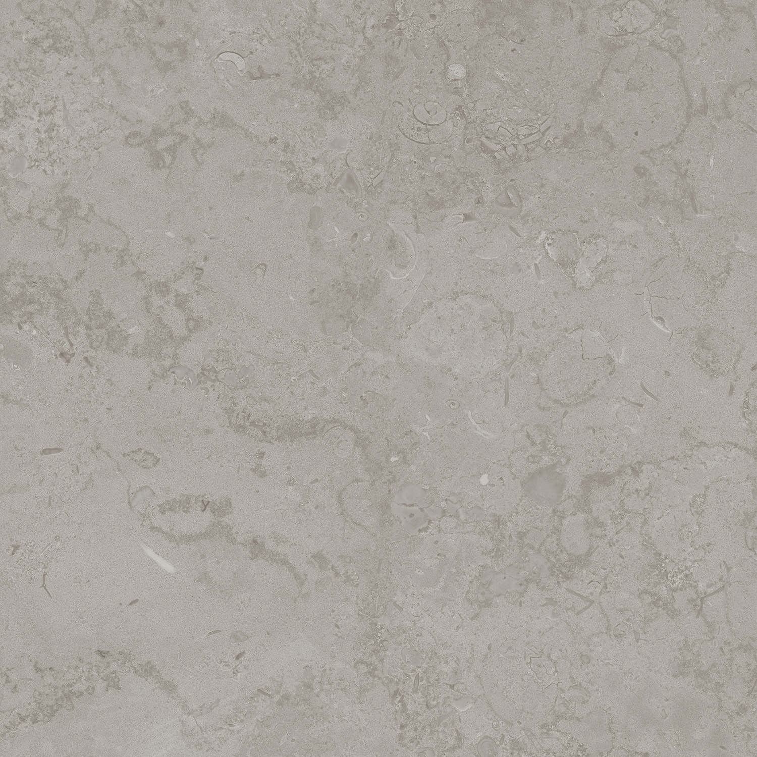 Керамический гранит Kerama Marazzi Про Лаймстоун DD640920R серый натуральный обрезной 60х60 см