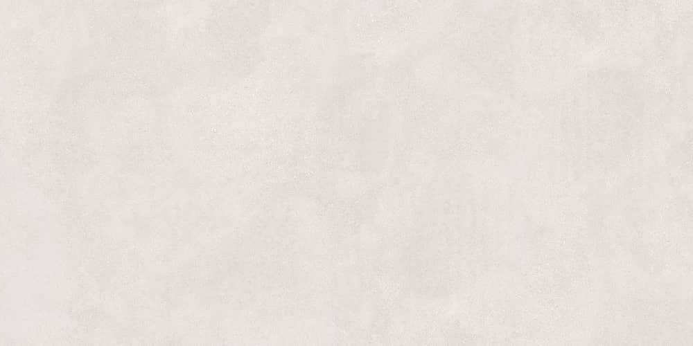 Керамический гранит Lasselsberger Ceramics Иней 6493-0137 60х120 светло-серый