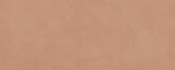 Керамическая плитка Kerama Marazzi 7254 Каннареджо оранжевый матовый 20х50