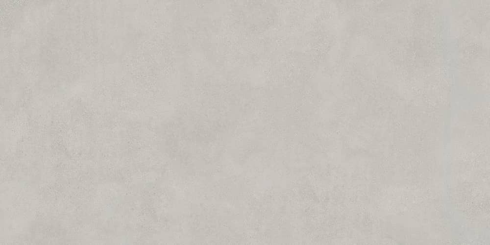 Керамический гранит Lasselsberger Ceramics Иней 6493-0138 60х120 темно-серый