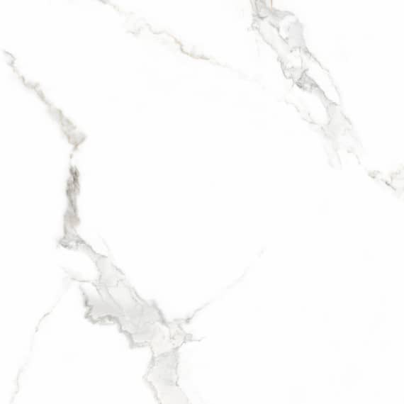 Керамический гранит Lasselsberger Ceramics Иней 6461-0411 60х60 белый