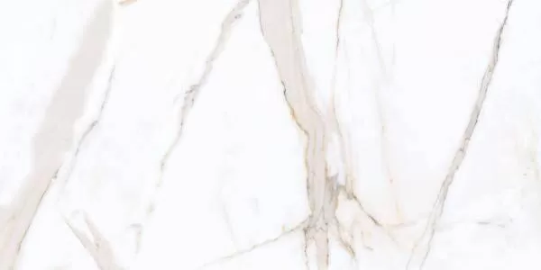 Керамический гранит Primavera Regal Carara 60х120 PR203 полированный