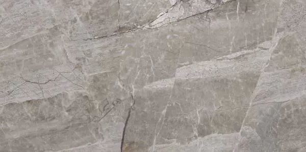 Керамический гранит Primavera Essence Grey 60х120 PR209 полированный