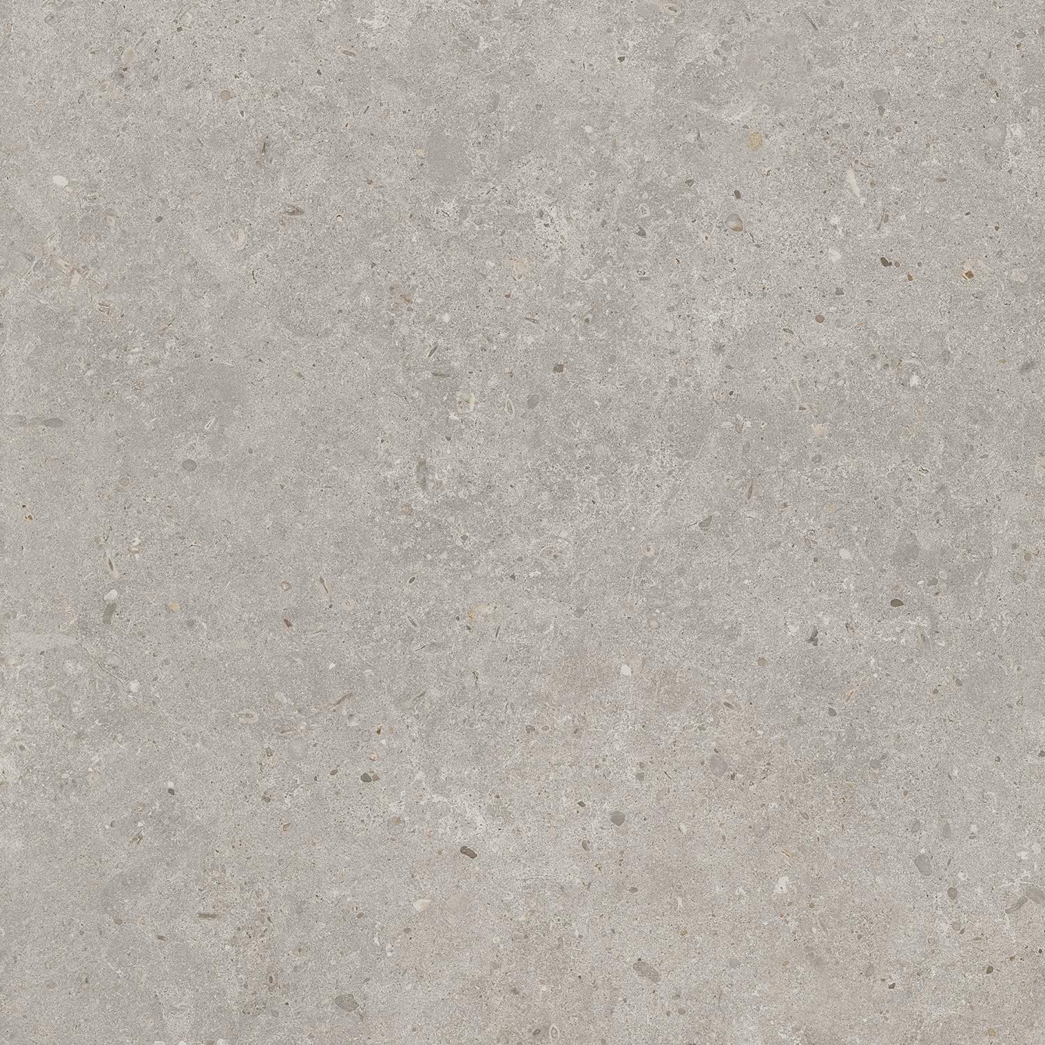 Керамический гранит Kerama Marazzi Риккарди SG653720R серый светлый матовый обрезной 60х60