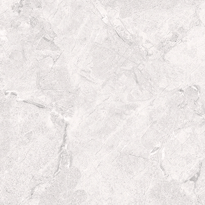 Керамический гранит Primavera Фавор TP66M09 матовый