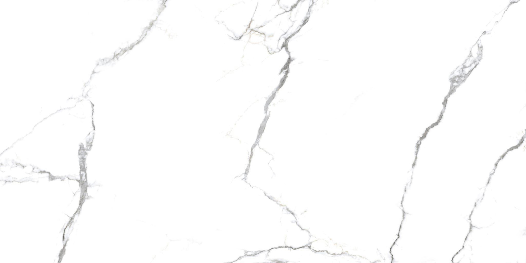 Керамический гранит Primavera Acothly NR219 матовый