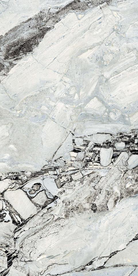 Керамический гранит Primavera Stoneart Metal carving 60x120 CR216 матовый