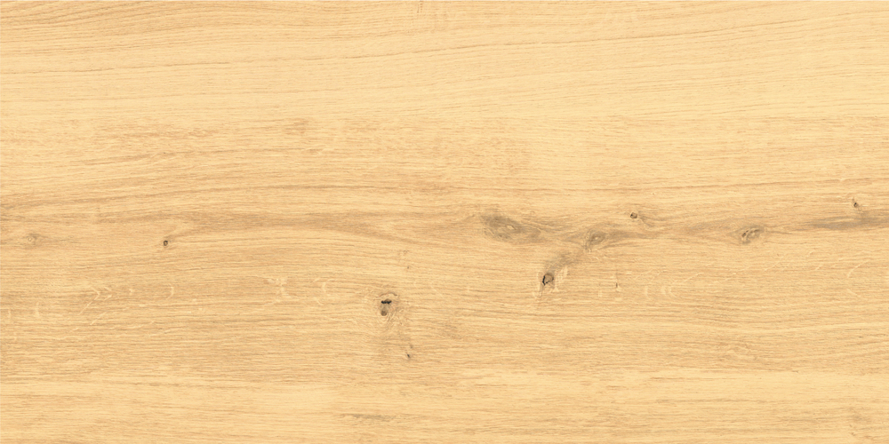 Керамический гранит Cersanit Woodhouse бежевый WS4O012 29,7x59,8