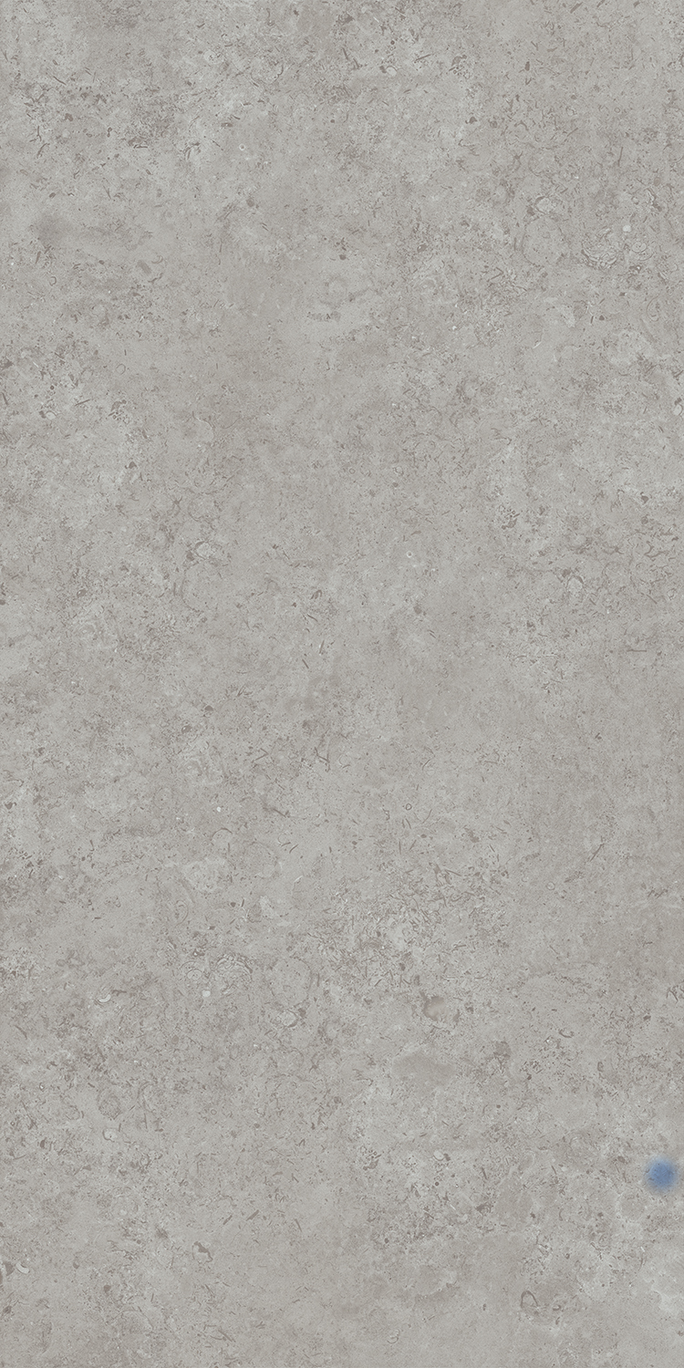 Керамический гранит Kerama Marazzi Про Лаймстоун АТ DD590620R серый натуральный обрезной 119,5х238,5 (ст.арт. DD590600R)