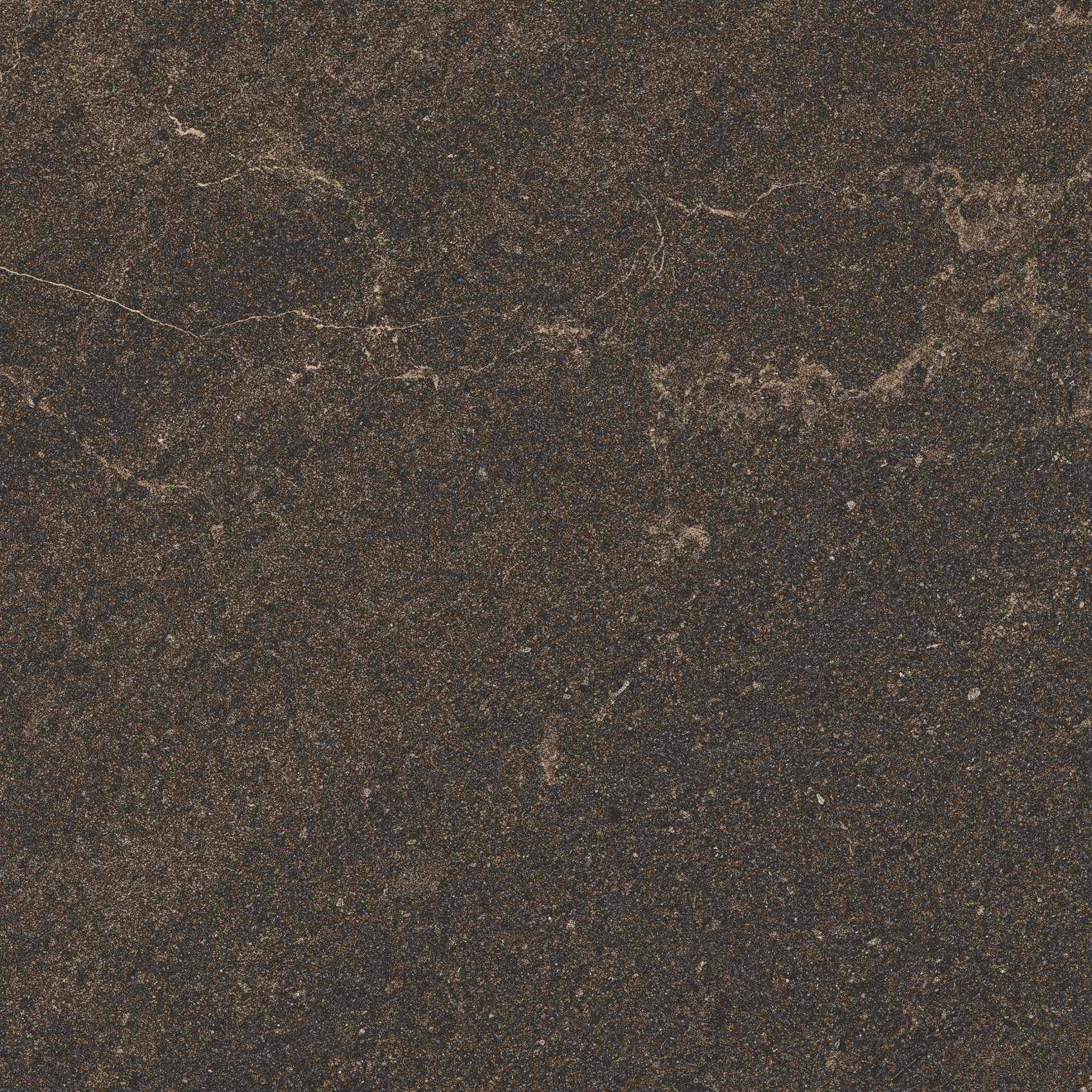 Керамический гранит Estima Gabbro GB04 коричневый неполированный 60x60