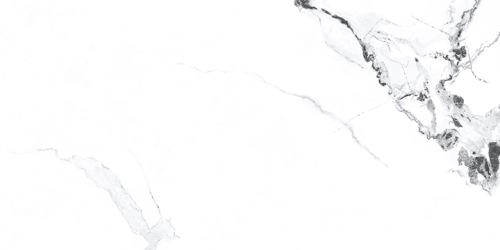 Керамический гранит Primavera Videl Bianco 60х120 PR222 полированный