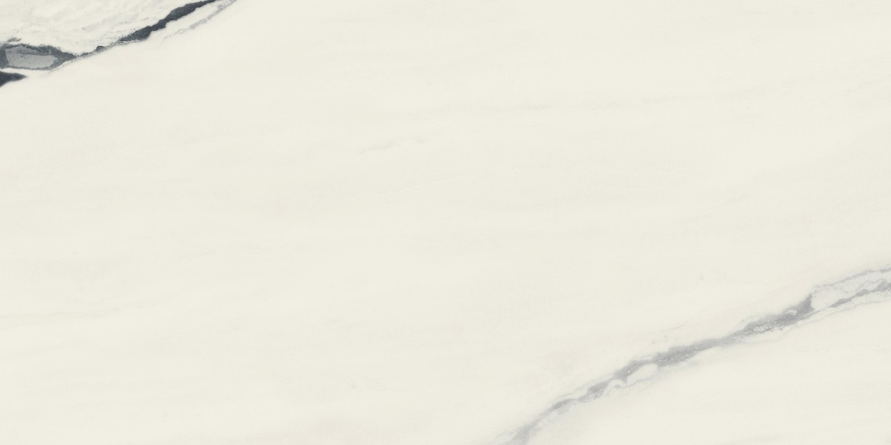 Керамический гранит Atlas Concorde Форте Дей Марми Панда Вайт Рет 60х120 Чер