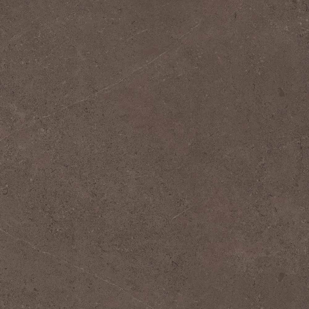 Керамический гранит Estima Gobi GO03 Brown Grey неполированный 60x60