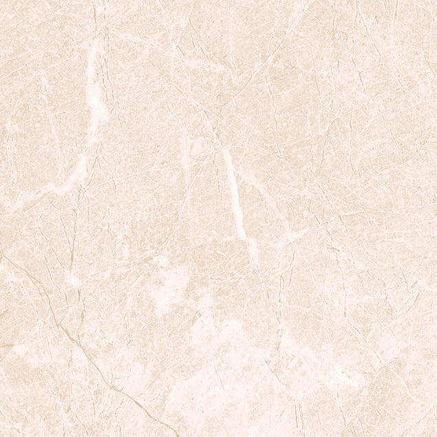 Керамический гранит Primavera Джимара TP66M11 матовый