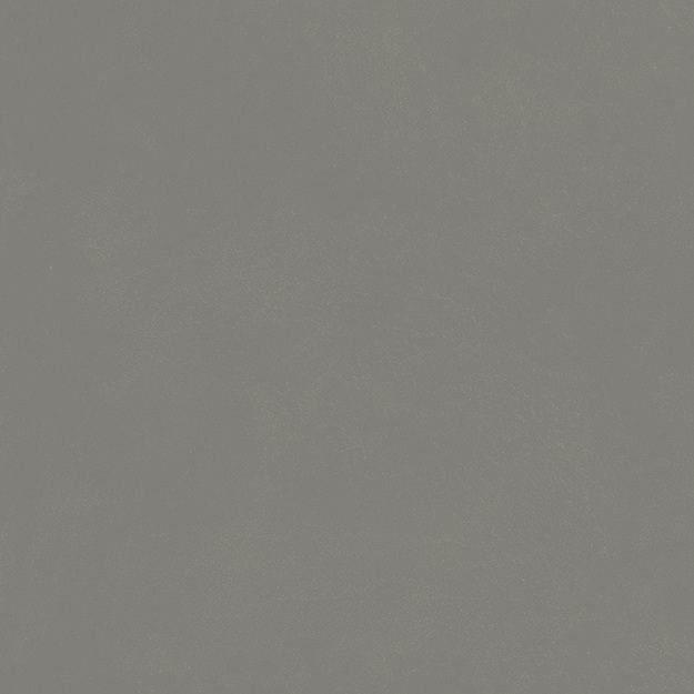 Керамический гранит Italon Форум Слим Айрон Натуральный 80x80 cm