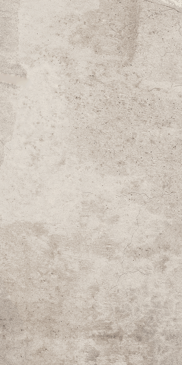 Керамический гранит Estima Seed Light Grey EE01 неполированный 30,6x60,9x8