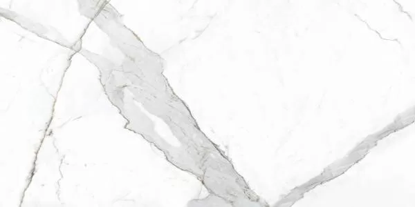 Керамический гранит Primavera Dario NR201 матовый