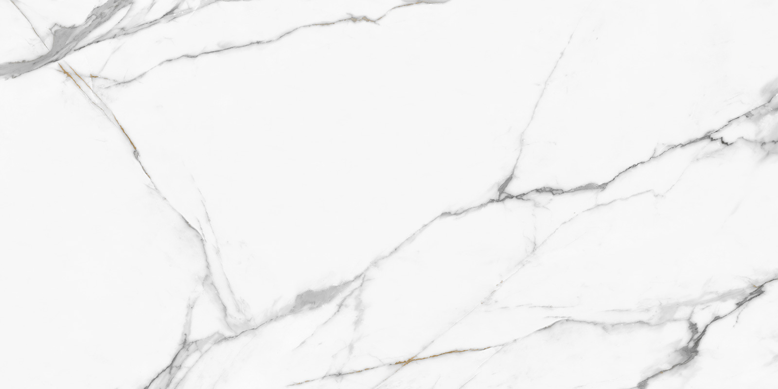 Керамический гранит New Trend Calacatta Regal полированный 60х120 60120REG00P