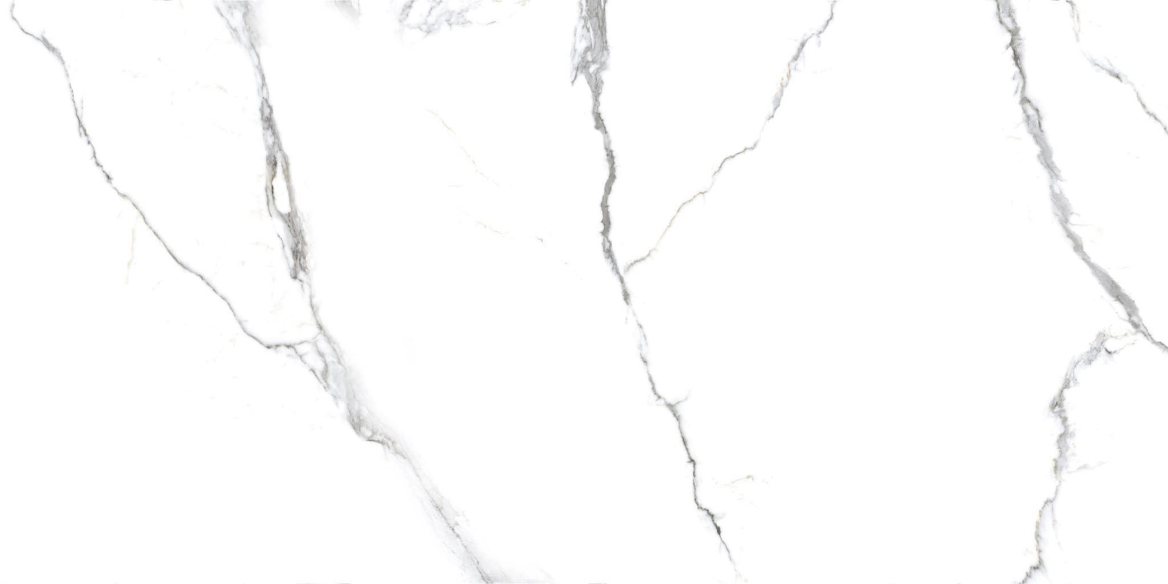 Керамический гранит Primavera ACOTHLY 60х120 PR222 полированный