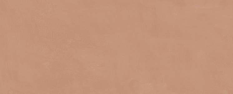 Керамическая плитка Kerama Marazzi 7254 Каннареджо оранжевый матовый 20х50