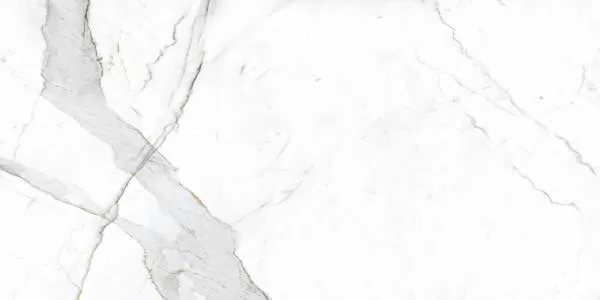 Керамический гранит Primavera Dario NR201 матовый