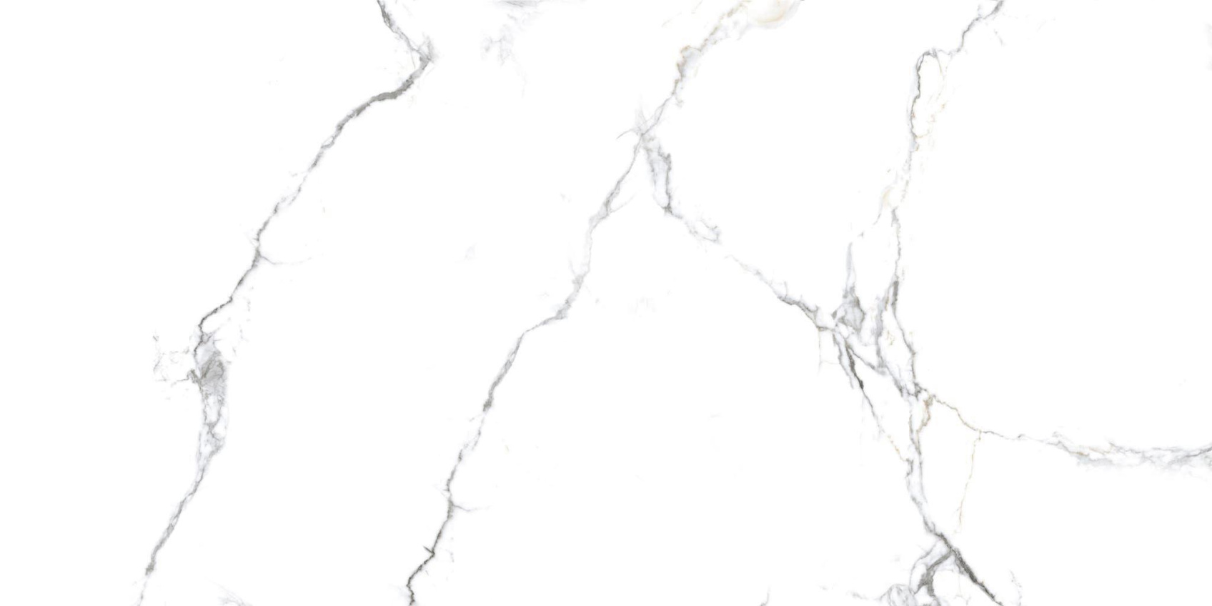 Керамический гранит Primavera Acothly NR219 матовый