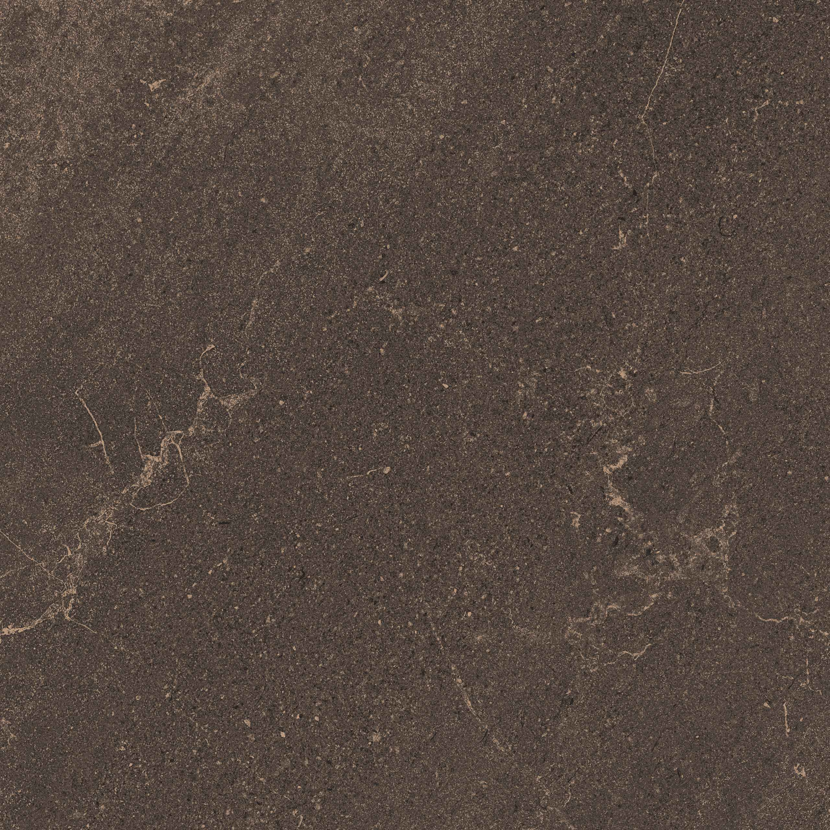 Керамический гранит Estima Gabbro GB04 коричневый неполированный 80x80