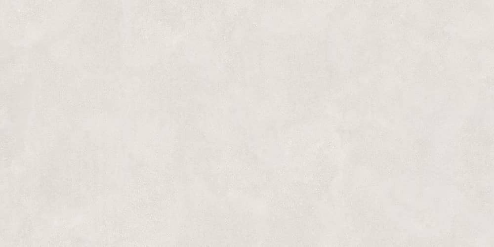 Керамический гранит Lasselsberger Ceramics Иней 6493-0137 60х120 светло-серый