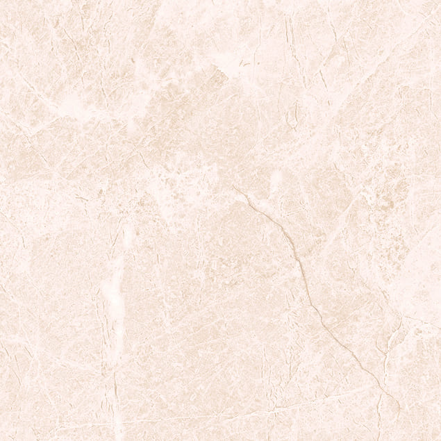 Керамический гранит Primavera Джимара TP66M11 матовый