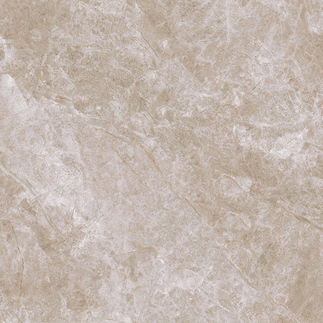 Керамический гранит Primavera Балиал TP66M19 матовый