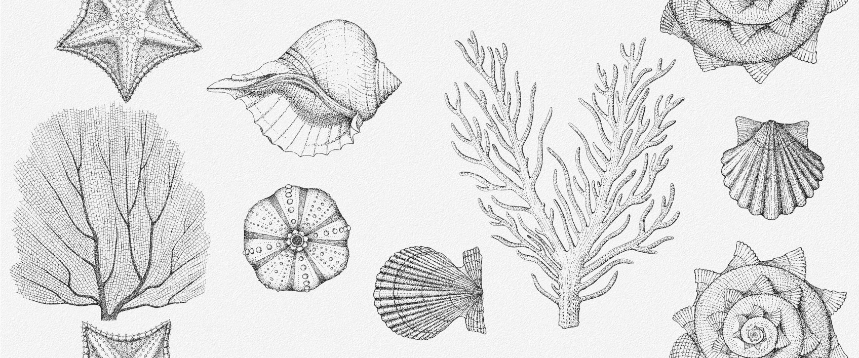 Керамическая плитка Gracia Сeramica Aqua white wall 01