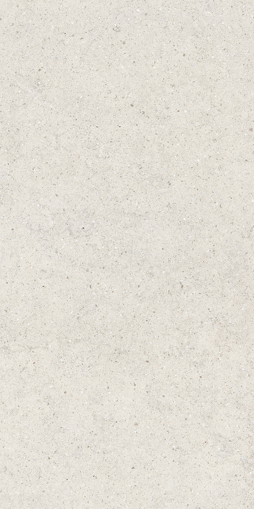 Керамический гранит Italon Форум Стоун Полар Натуральный 60x120 cm