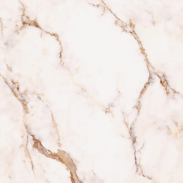 Керамический гранит Primavera Гемба TP66M16 матовый