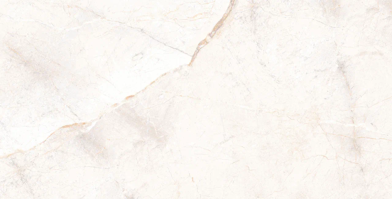 Керамический гранит Usak Seramik Manavgat Bone Polished 60x120