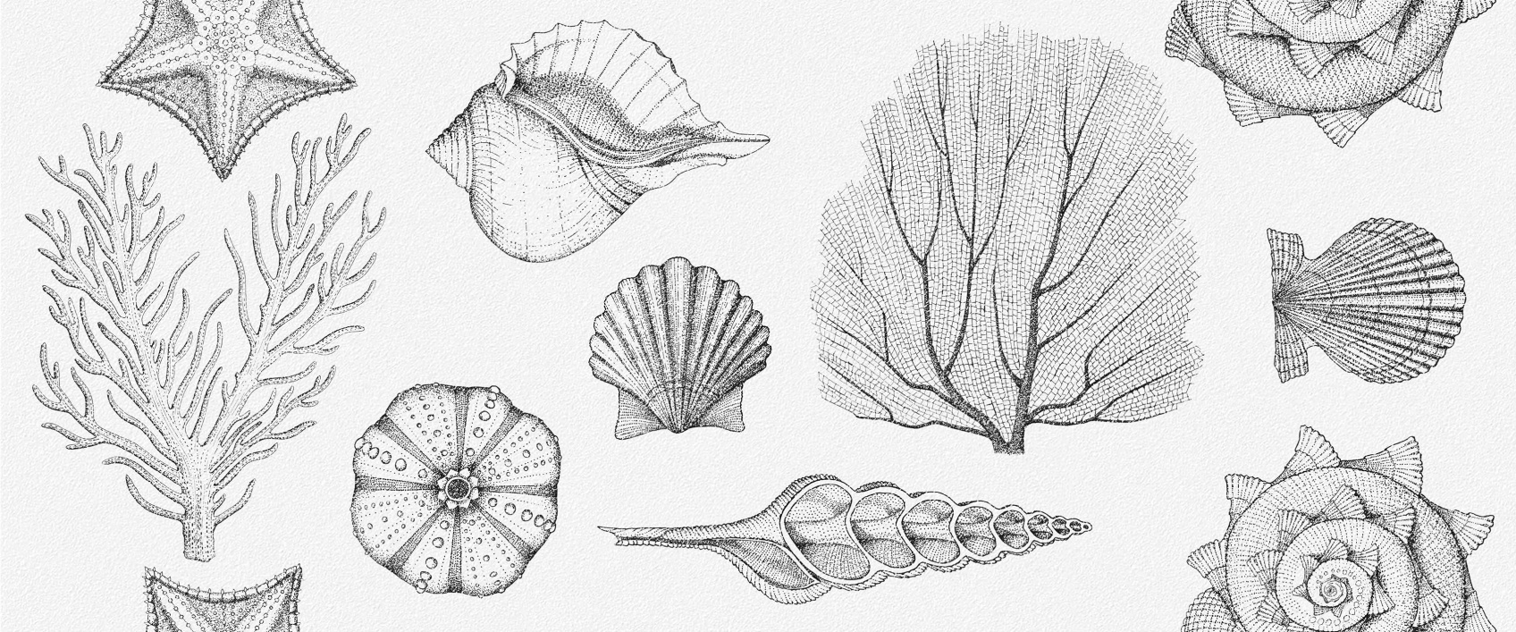 Керамическая плитка Gracia Сeramica Aqua white wall 01