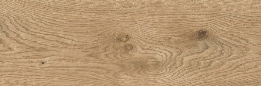 Керамический гранит Lasselsberger Ceramics Джордано 6264-0119 20х60 рустик медовый