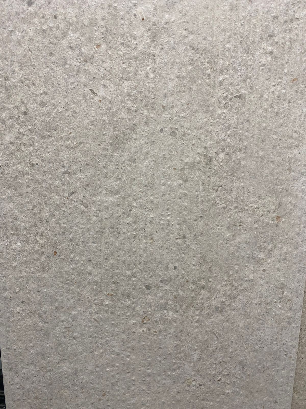 Керамическая плитка Kerama Marazzi Риккарди 14062R серый светлый матовый структура обрезной 40х120