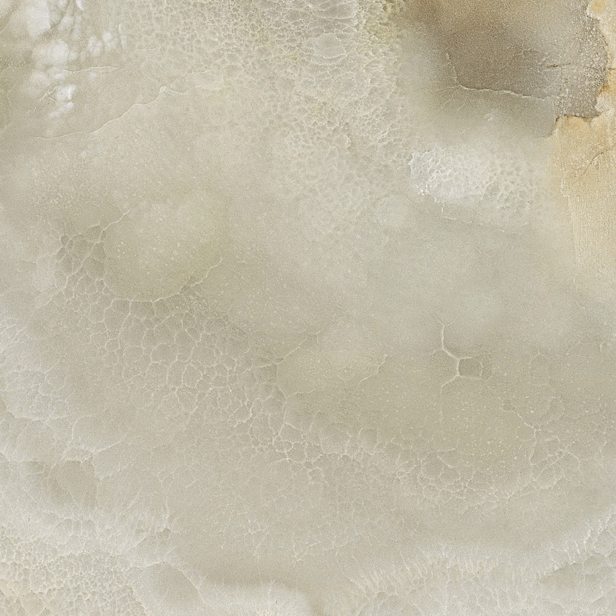 Керамическая плитка Леандр TP453667D серый матовая 45х45