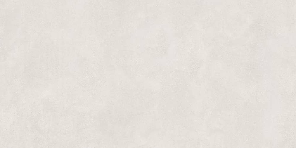 Керамический гранит Lasselsberger Ceramics Иней 6493-0137 60х120 светло-серый