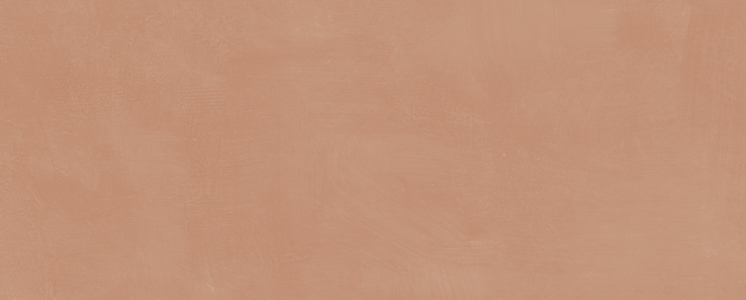 Керамическая плитка Kerama Marazzi 7254 Каннареджо оранжевый матовый 20х50