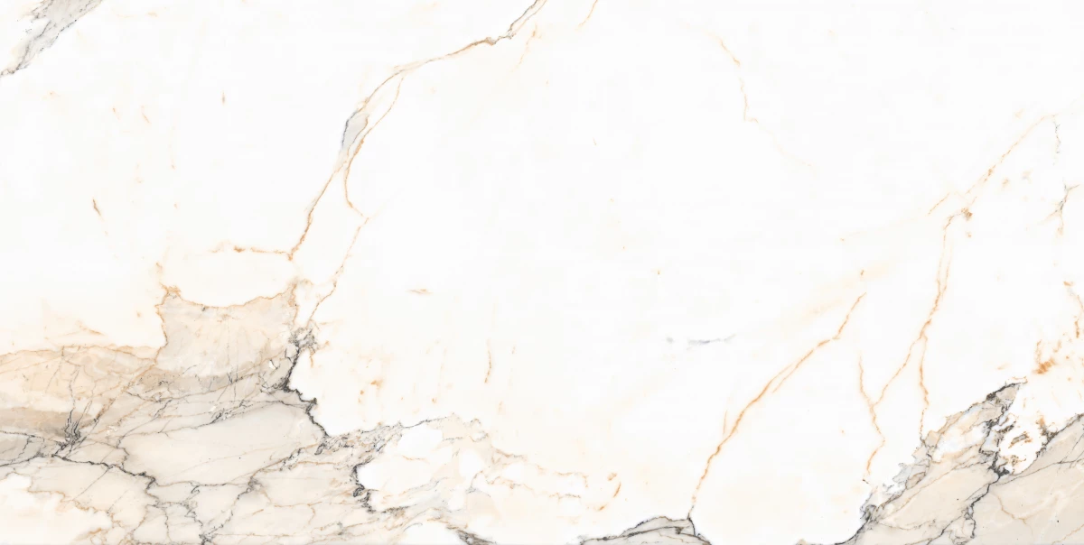 Керамический гранит MAIMOON CERAMICA 12161 R Carving матовый 60х120