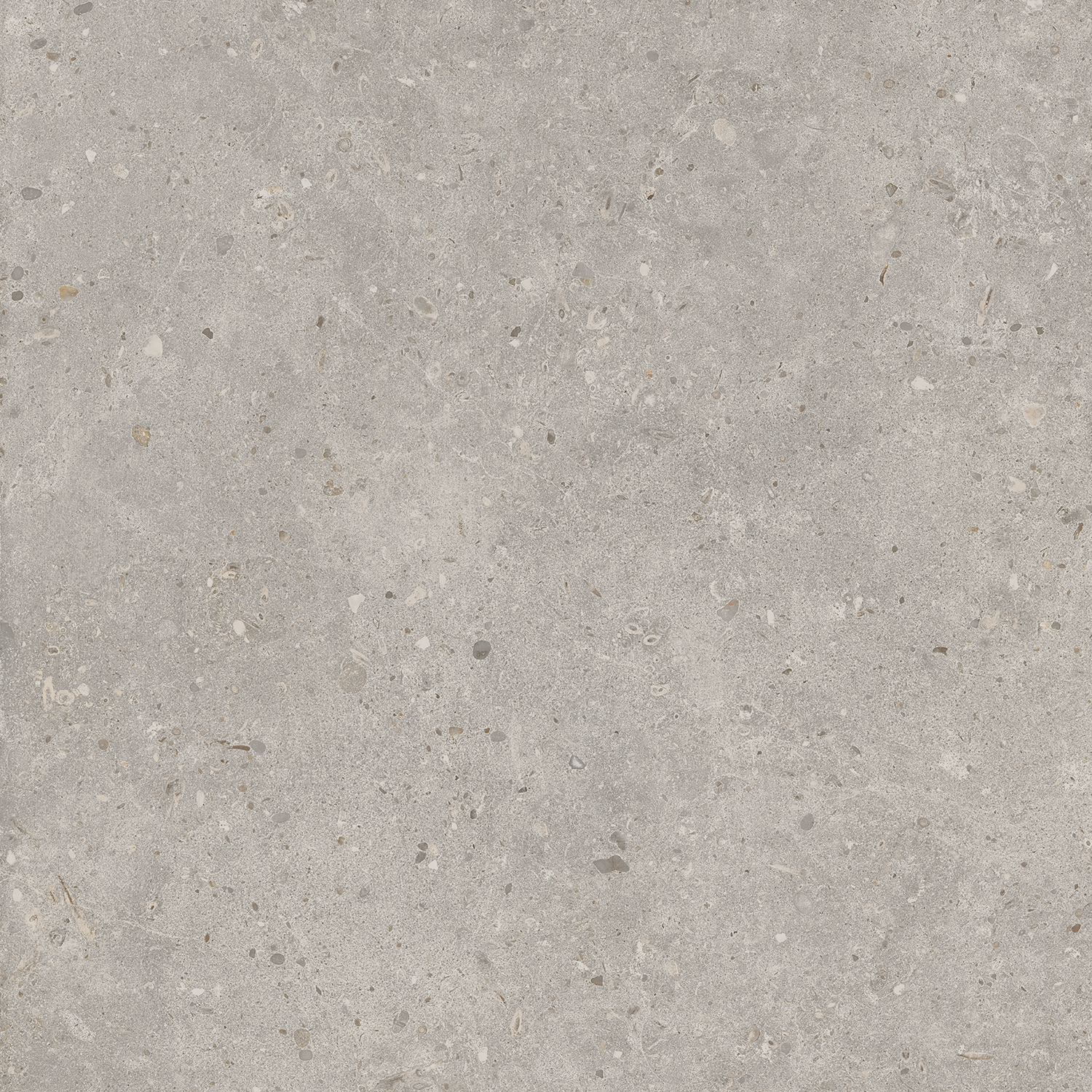Керамический гранит Kerama Marazzi Риккарди SG653720R серый светлый матовый обрезной 60х60